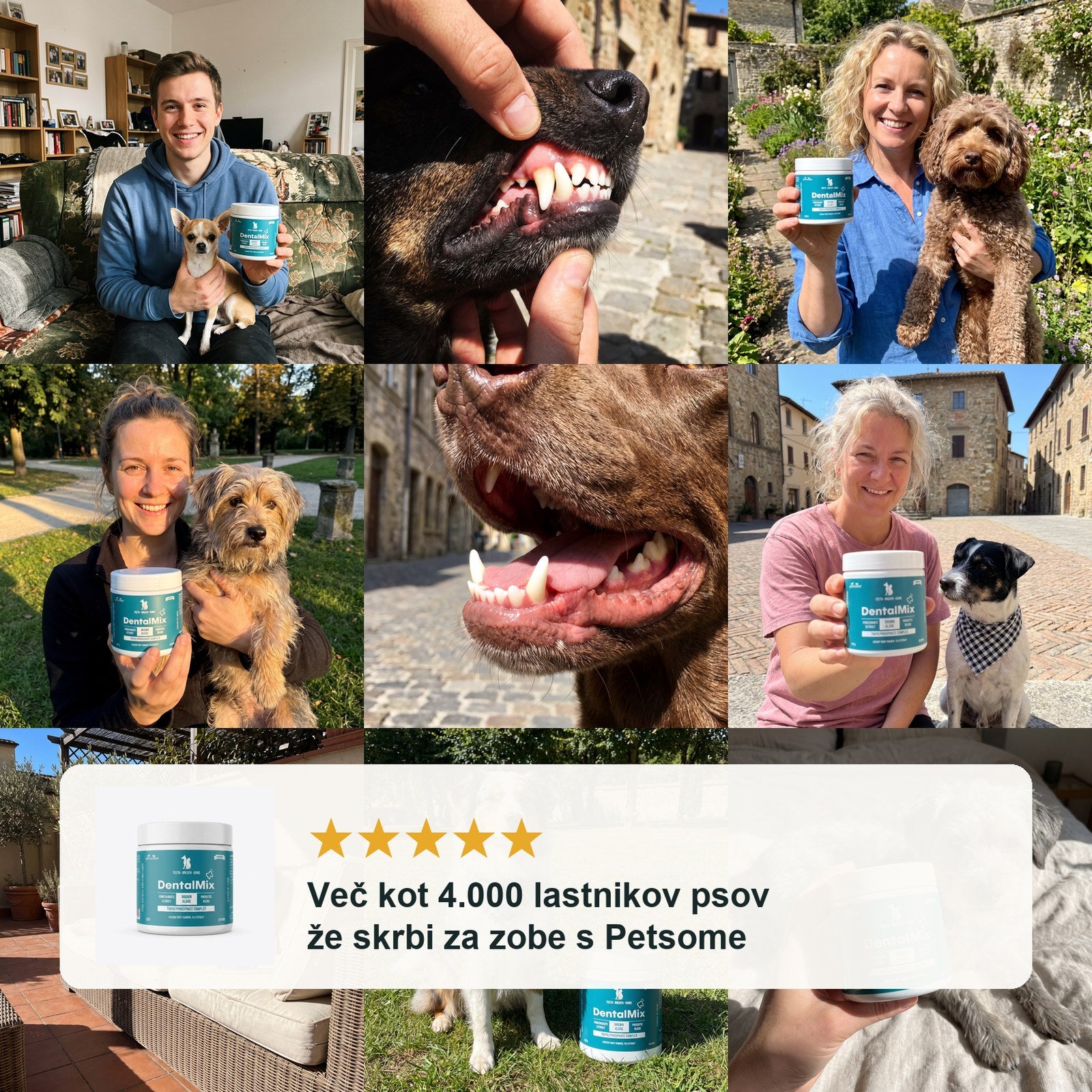 DentalMix