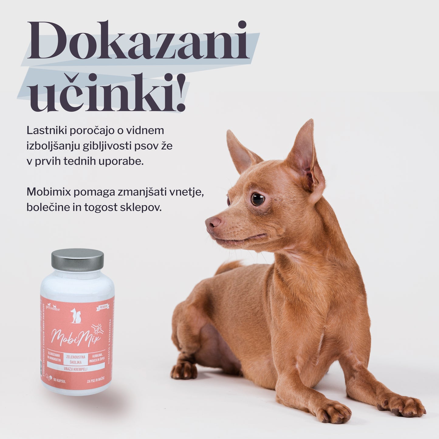 MobiMix - početni paket
