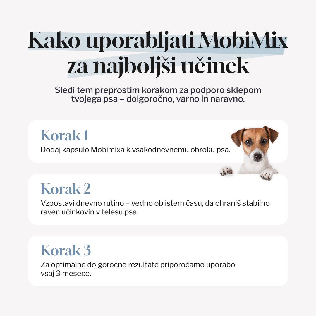 MobiMix - početni paket