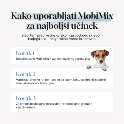 MobiMix - početni paket