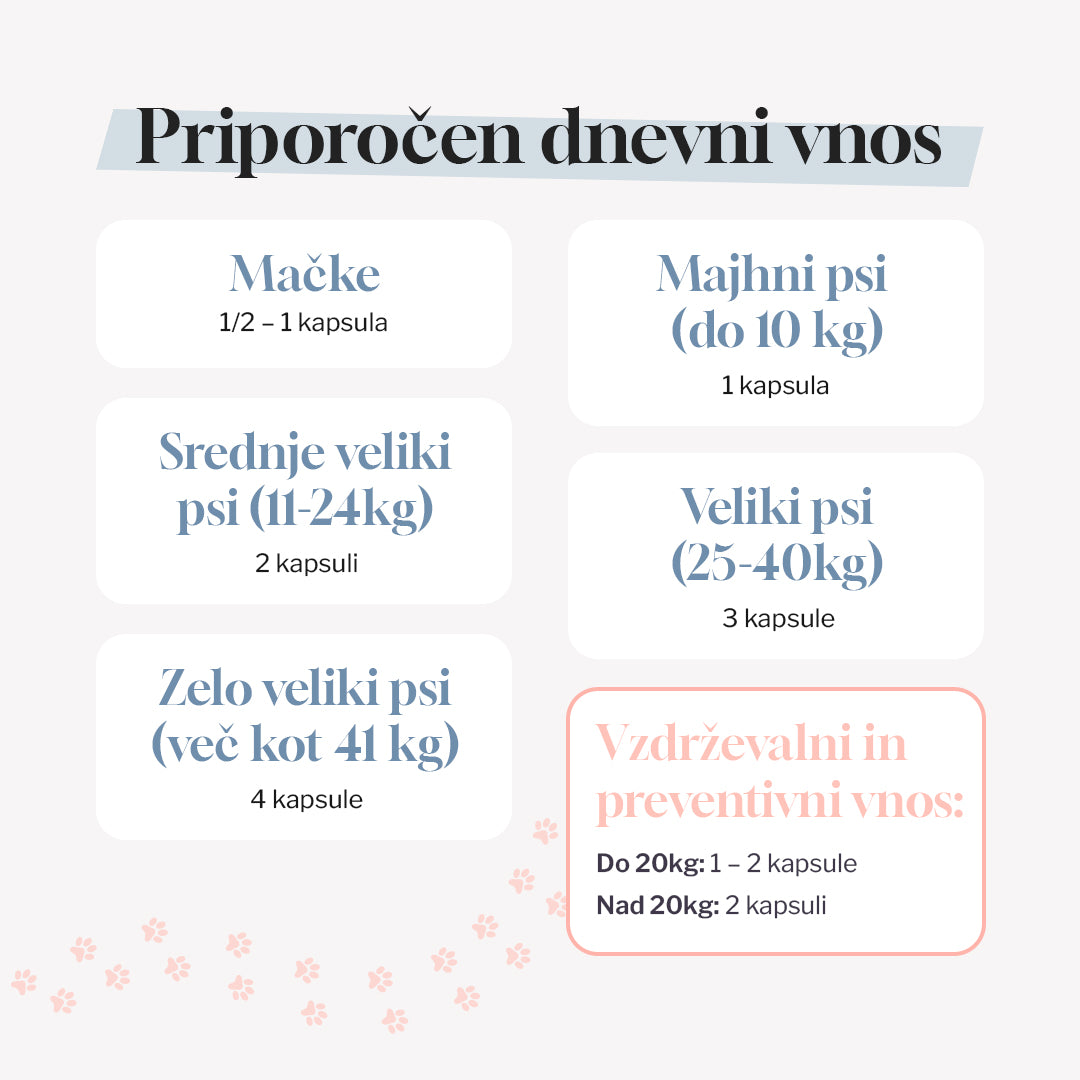 MobiMix - početni paket