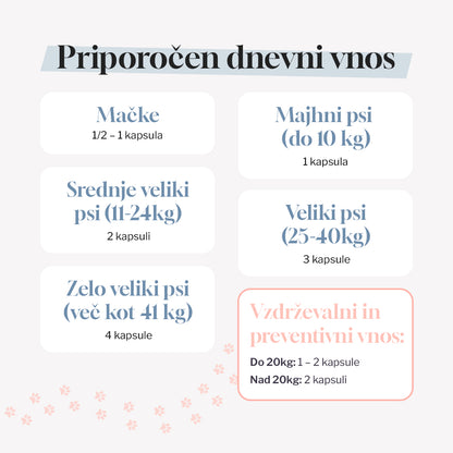 MobiMix - početni paket