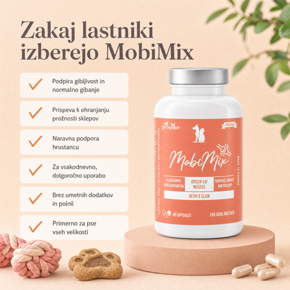 MobiMix TEST
