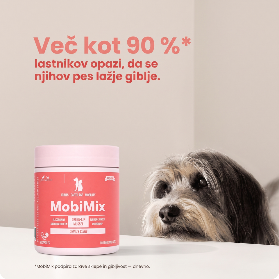 MobiMix